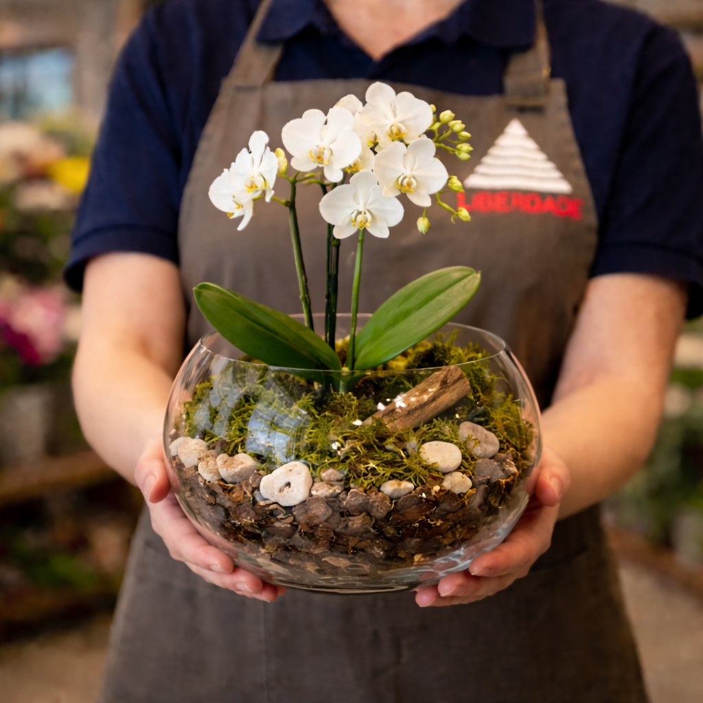 Orquídea no Aquário